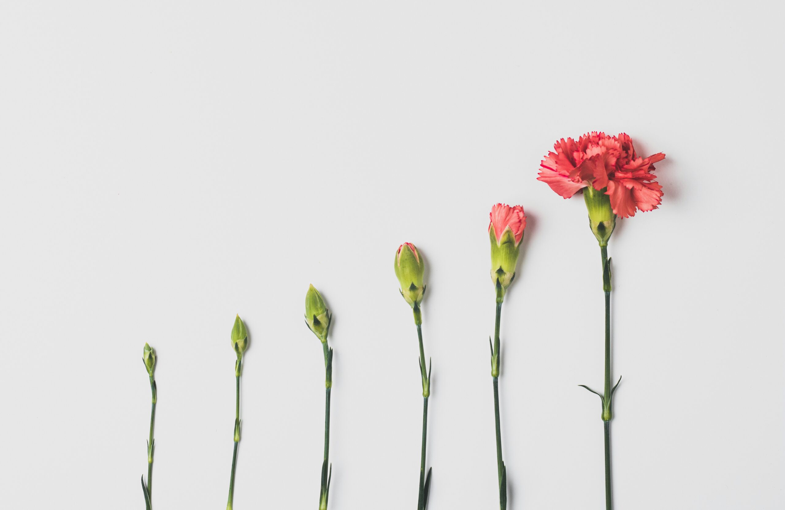 Digital Marketing: 5 Advanced Techniques in 2025